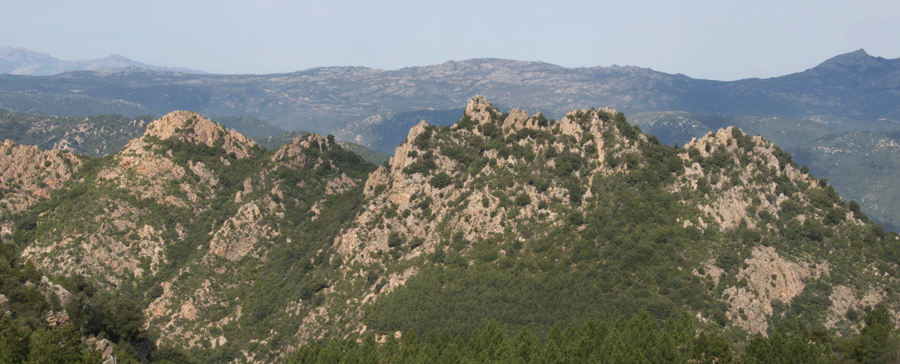 Bitti - monte Tepilora